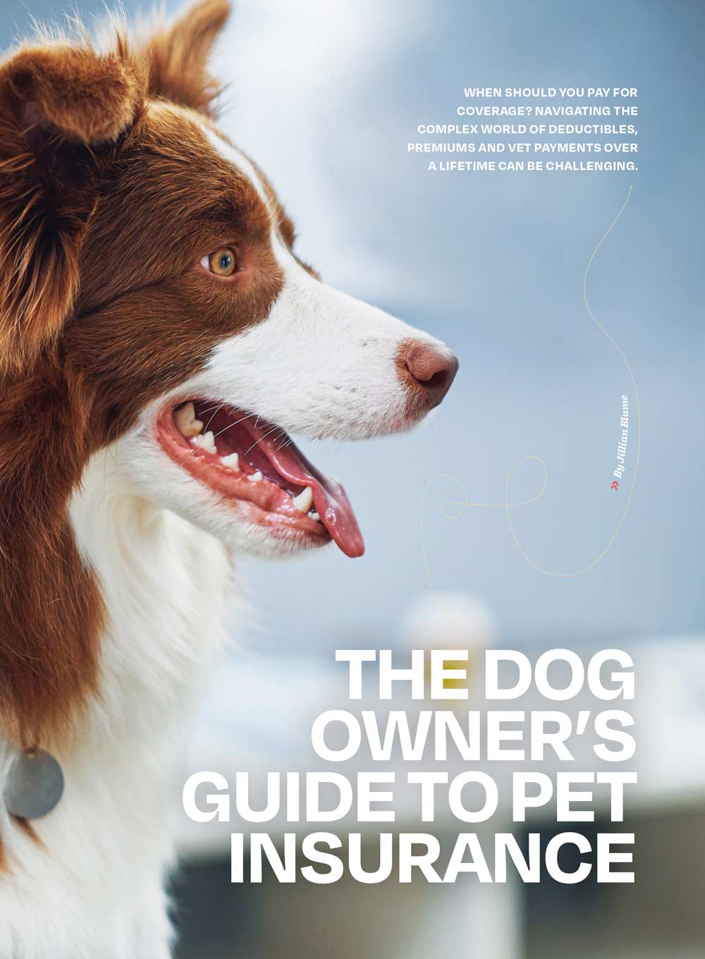 Inside Your Dog's Mind - What They Really Think: Right Way To Touch Them, Bark Meaning, Why Dogs Feel Your Pain, Guide To Pet Insurance, Sniffing Walk, Microadventures, Bonding, Health Span & More!