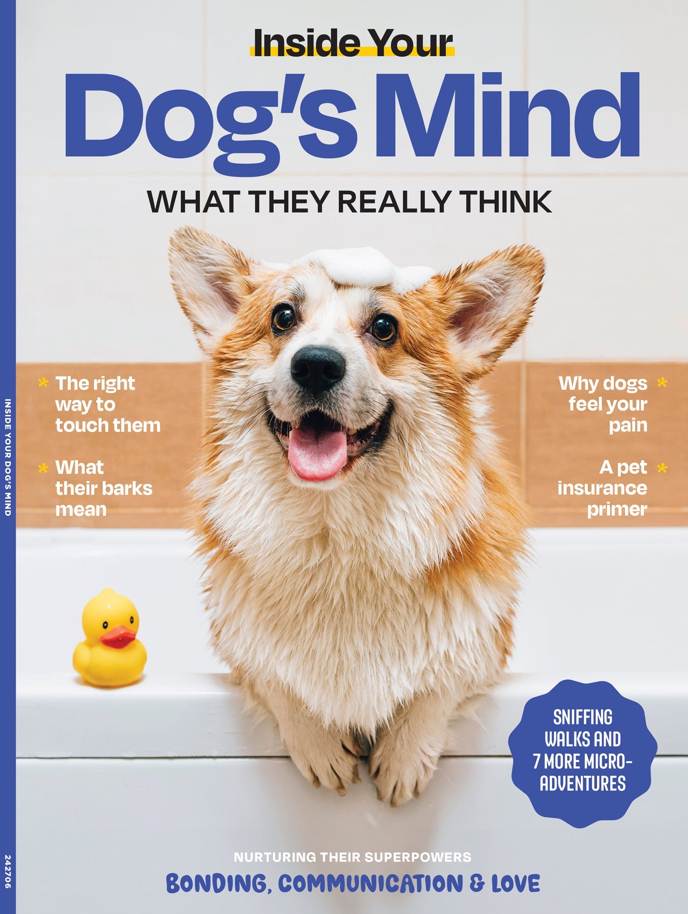 Inside Your Dog's Mind - What They Really Think: Right Way To Touch Them, Bark Meaning, Why Dogs Feel Your Pain, Guide To Pet Insurance, Sniffing Walk, Microadventures, Bonding, Health Span & More!