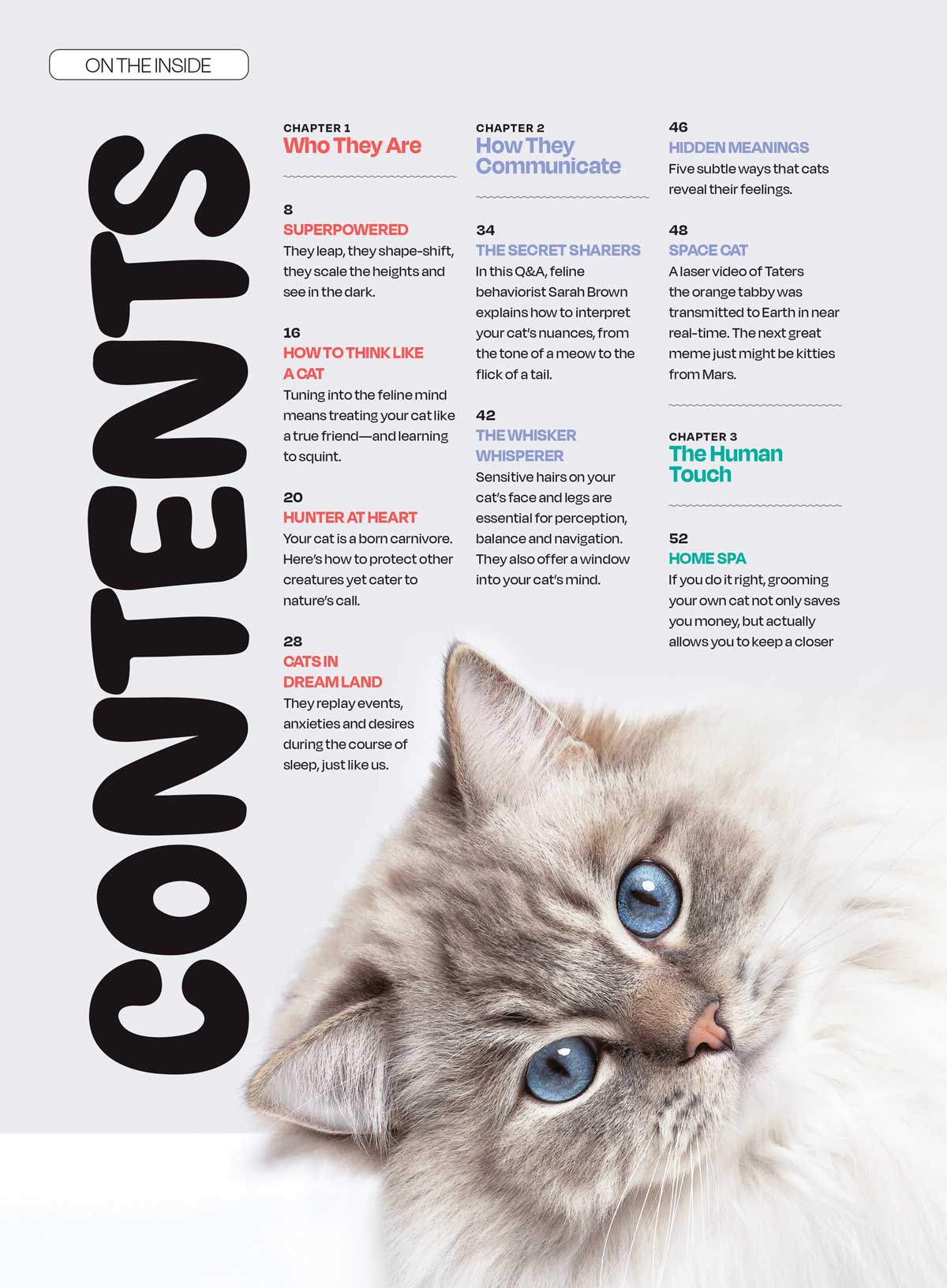 Cat's Mind - What They Really Think: What They Dream About, Reading Their Body Language, Can They Go Vegan, Secret Language Of Meows, Think Like A Cat, Whiskers, Q&A, Feelings, Microbiome & More!