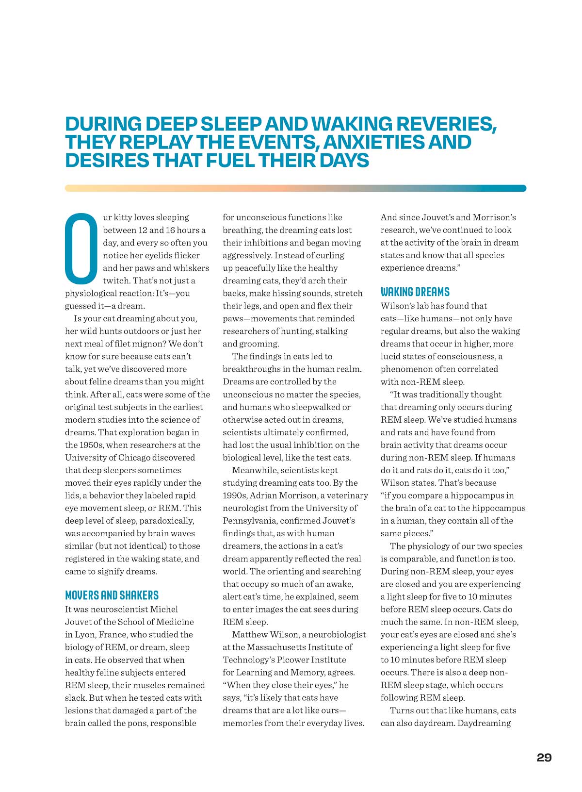 Cat's Mind - What They Really Think: What They Dream About, Reading Their Body Language, Can They Go Vegan, Secret Language Of Meows, Think Like A Cat, Whiskers, Q&A, Feelings, Microbiome & More!