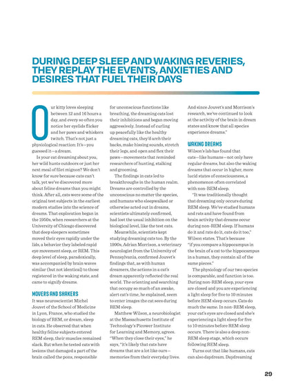 Cat's Mind - What They Really Think: What They Dream About, Reading Their Body Language, Can They Go Vegan, Secret Language Of Meows, Think Like A Cat, Whiskers, Q&A, Feelings, Microbiome & More!
