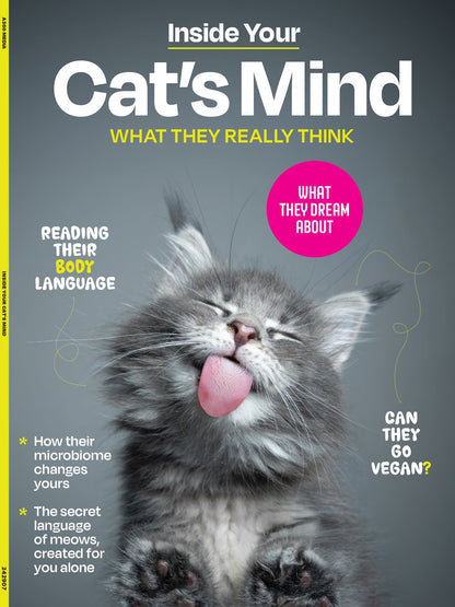 Cat's Mind - What They Really Think: What They Dream About, Reading Their Body Language, Can They Go Vegan, Secret Language Of Meows, Think Like A Cat, Whiskers, Q&A, Feelings, Microbiome & More!