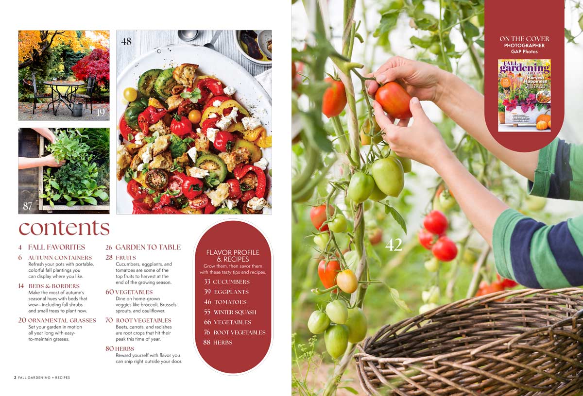 Fall Gardening + Recipes - 35 Garden To Table Dishes, Grow Your Own Veggies & Herbs, Colorful Containers, Easy Ornamental Grasses, Fiery Shrubs & Small Tress, Small-Space Garden Ideas, Borders & More!