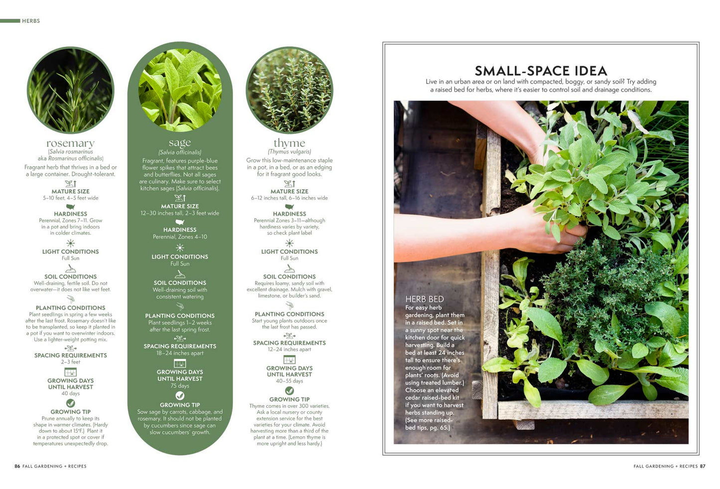 Fall Gardening + Recipes - 35 Garden To Table Dishes, Grow Your Own Veggies & Herbs, Colorful Containers, Easy Ornamental Grasses, Fiery Shrubs & Small Tress, Small-Space Garden Ideas, Borders & More!