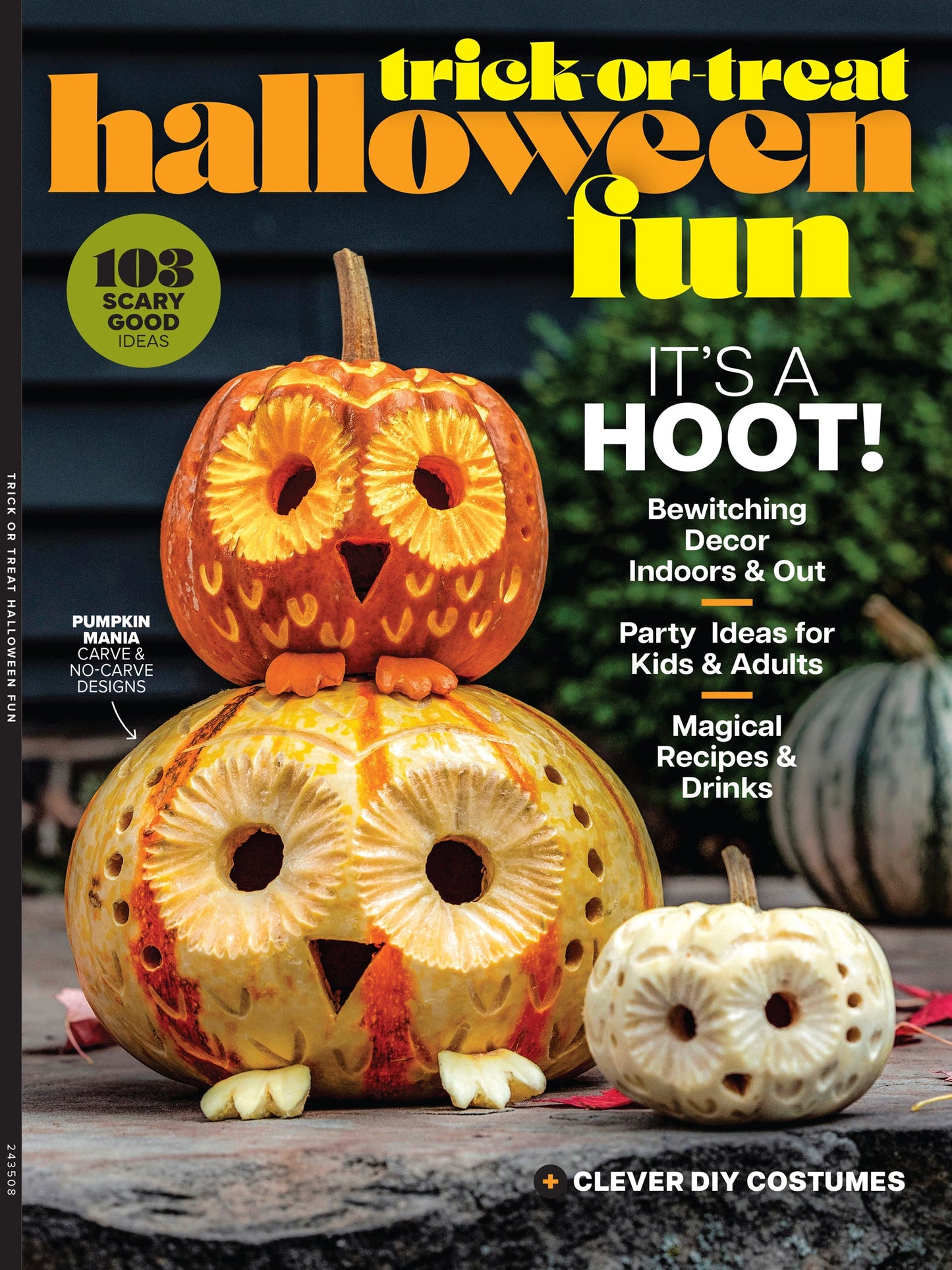 Halloween Fun - 103 Scary Good Ideas, Bewitching Decor Indoors & Out, Party Ideas For Kids & Adults, Magical Recipes & Drinks, Clever DIY Costumes, Pumpkin Carving, Crafts, Table Settings & More!