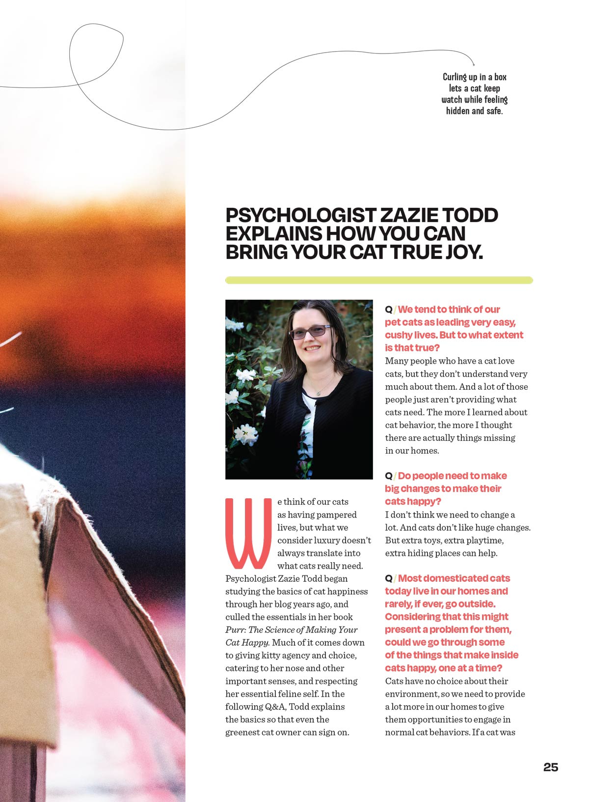 Inside Your Cats Mind - Cat Happiness: Raise A Great Cat, The Sunniest Breeds, Celebrate Their Sense Of Smell, Insider Tips On Play, Honor Their Choices, Thrill Of The Indoor Jungle, Catnip & More!