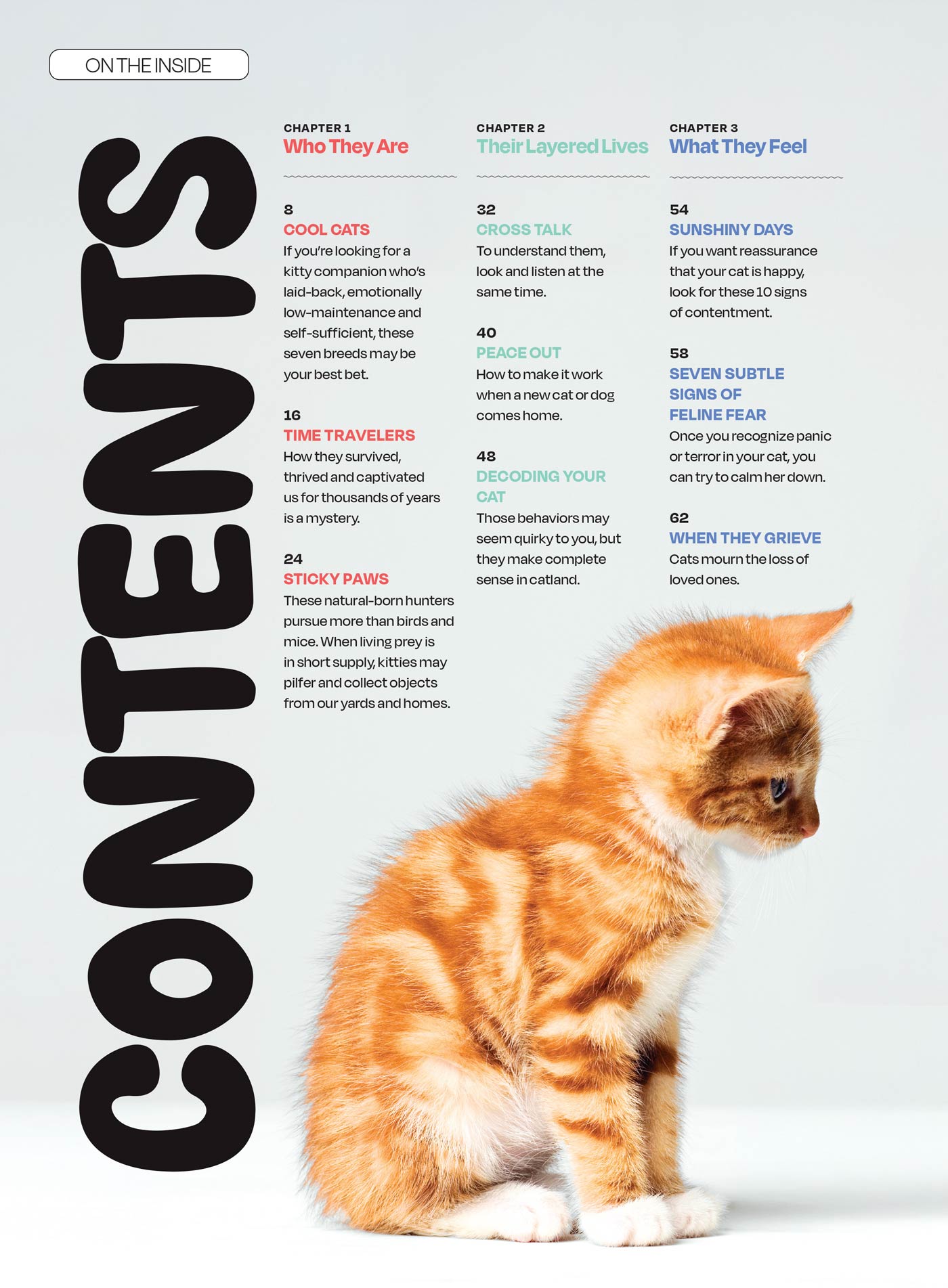 Inside Your Cat’s Mind - What They Really Think: Crack The Code Of Cat Emotions, Secret Mind-Body Language, How To Care For Your Cat, Art Of The Bath, Therapies For Cats & Can Cats & Dogs Be Friends?