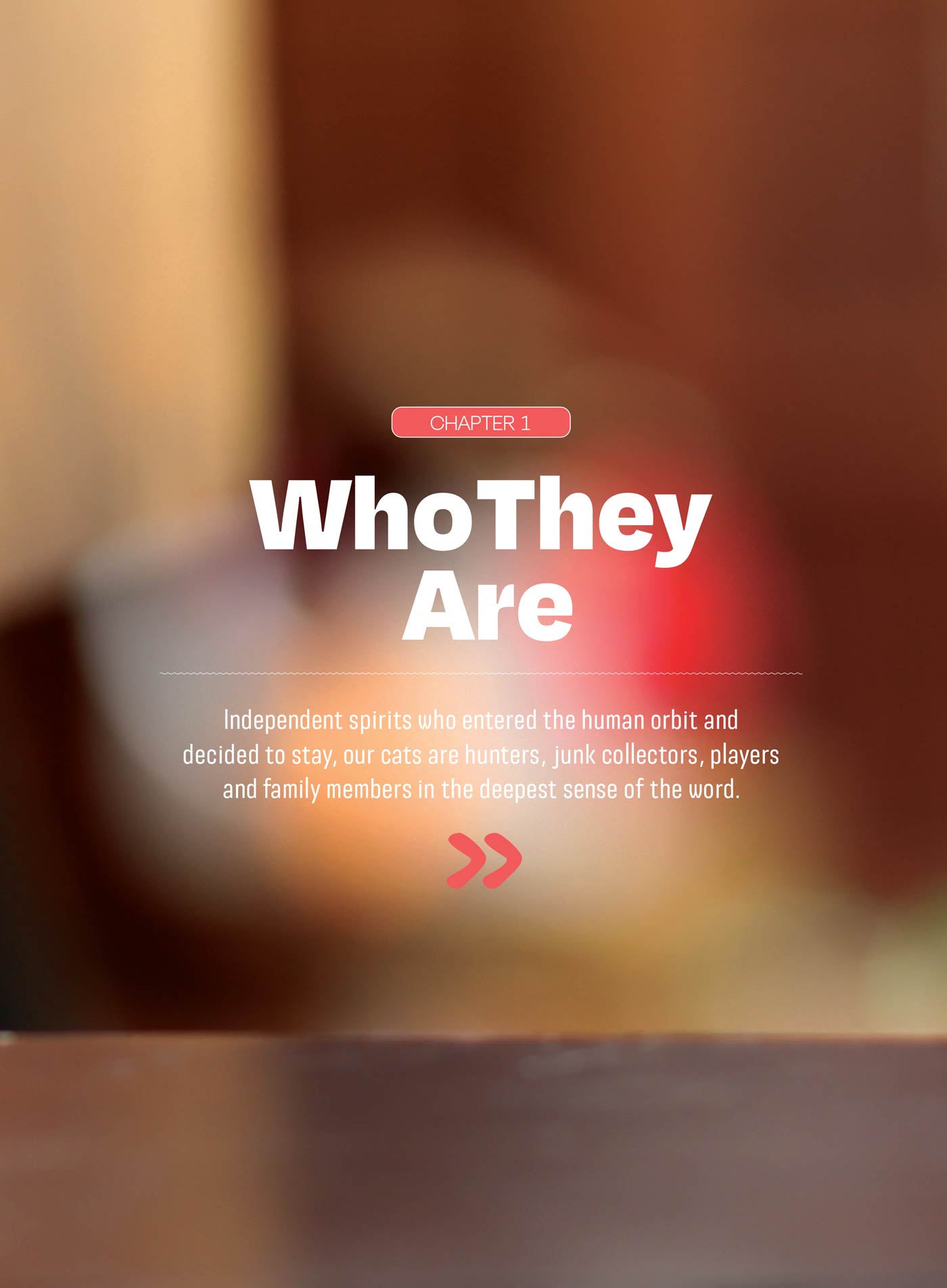 Inside Your Cat’s Mind - What They Really Think: Crack The Code Of Cat Emotions, Secret Mind-Body Language, How To Care For Your Cat, Art Of The Bath, Therapies For Cats & Can Cats & Dogs Be Friends?