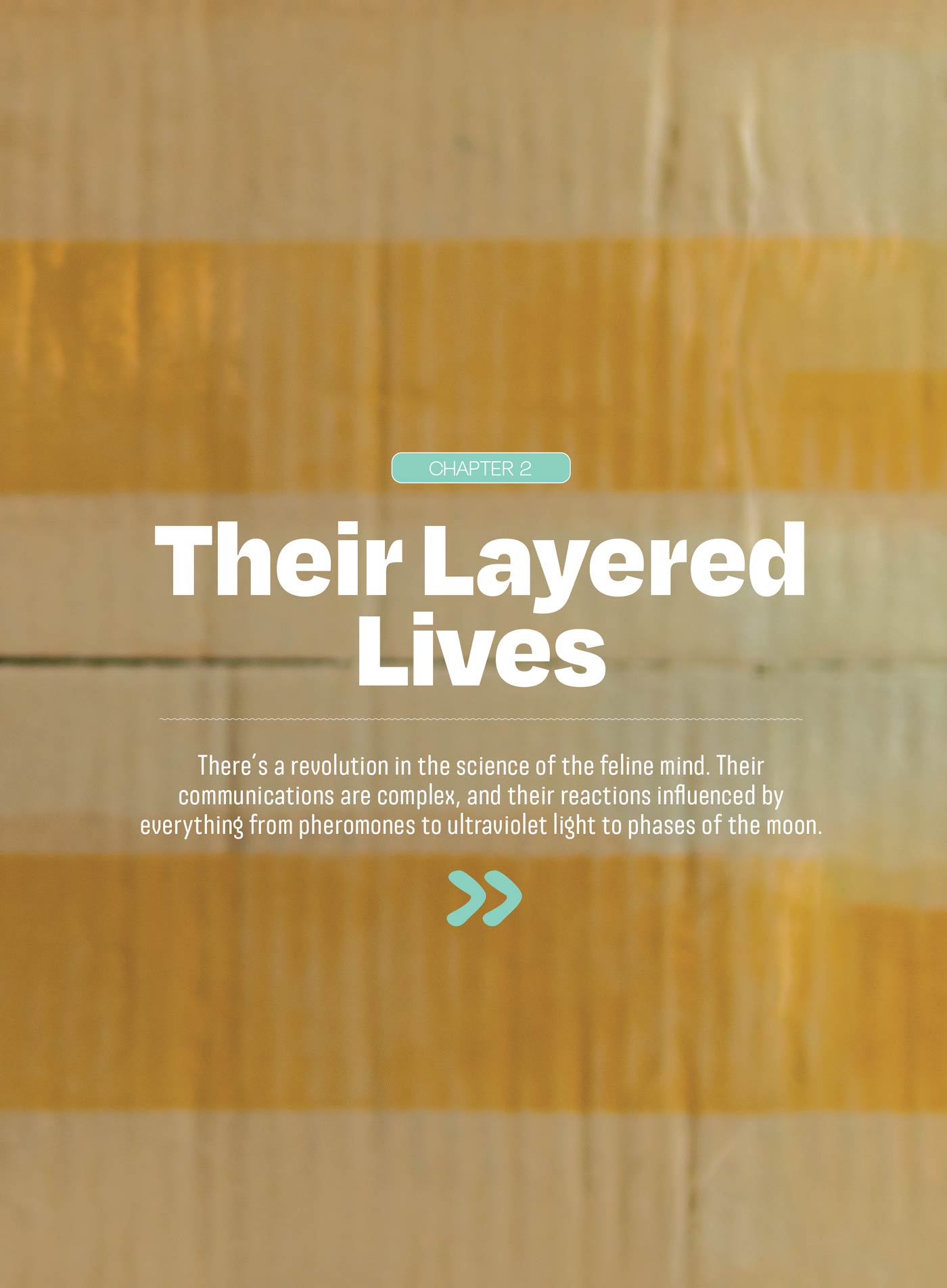 Inside Your Cat’s Mind - What They Really Think: Crack The Code Of Cat Emotions, Secret Mind-Body Language, How To Care For Your Cat, Art Of The Bath, Therapies For Cats & Can Cats & Dogs Be Friends?