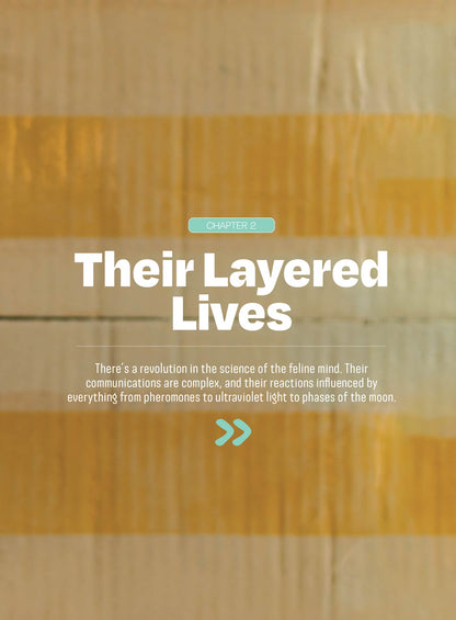 Inside Your Cat’s Mind - What They Really Think: Crack The Code Of Cat Emotions, Secret Mind-Body Language, How To Care For Your Cat, Art Of The Bath, Therapies For Cats & Can Cats & Dogs Be Friends?