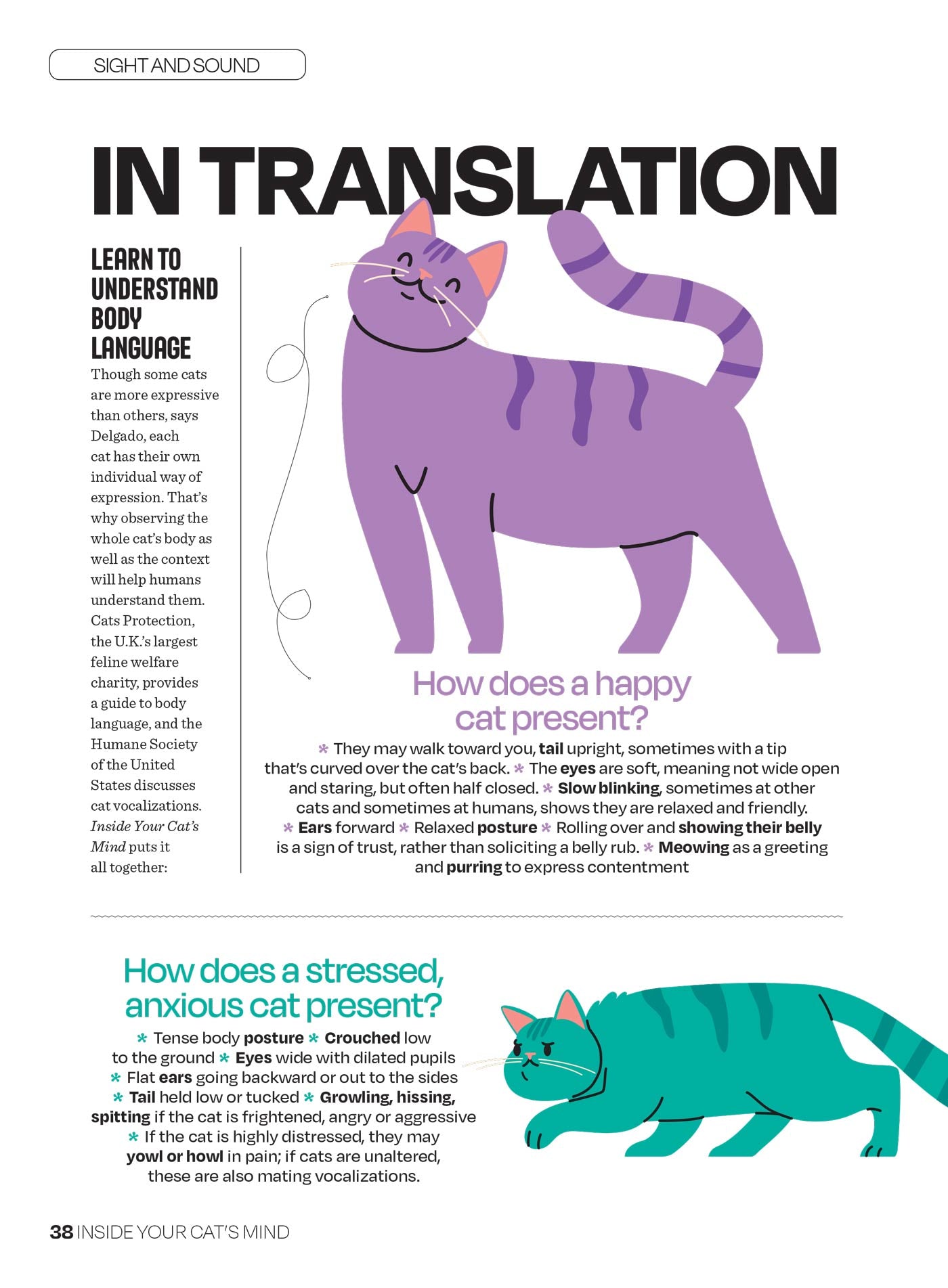 Inside Your Cat’s Mind - What They Really Think: Crack The Code Of Cat Emotions, Secret Mind-Body Language, How To Care For Your Cat, Art Of The Bath, Therapies For Cats & Can Cats & Dogs Be Friends?