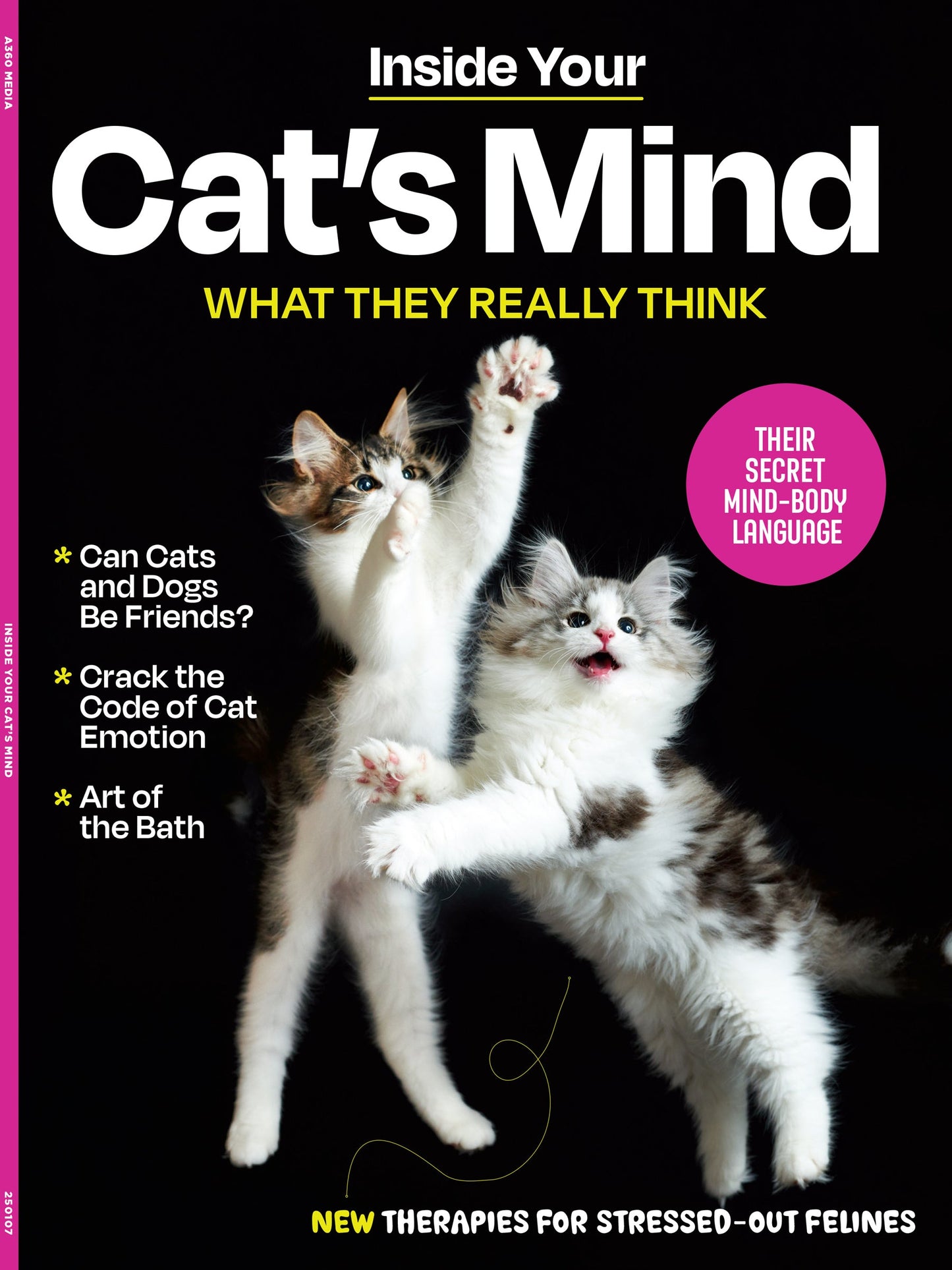 Inside Your Cat’s Mind - What They Really Think: Crack The Code Of Cat Emotions, Secret Mind-Body Language, How To Care For Your Cat, Art Of The Bath, Therapies For Cats & Can Cats & Dogs Be Friends?
