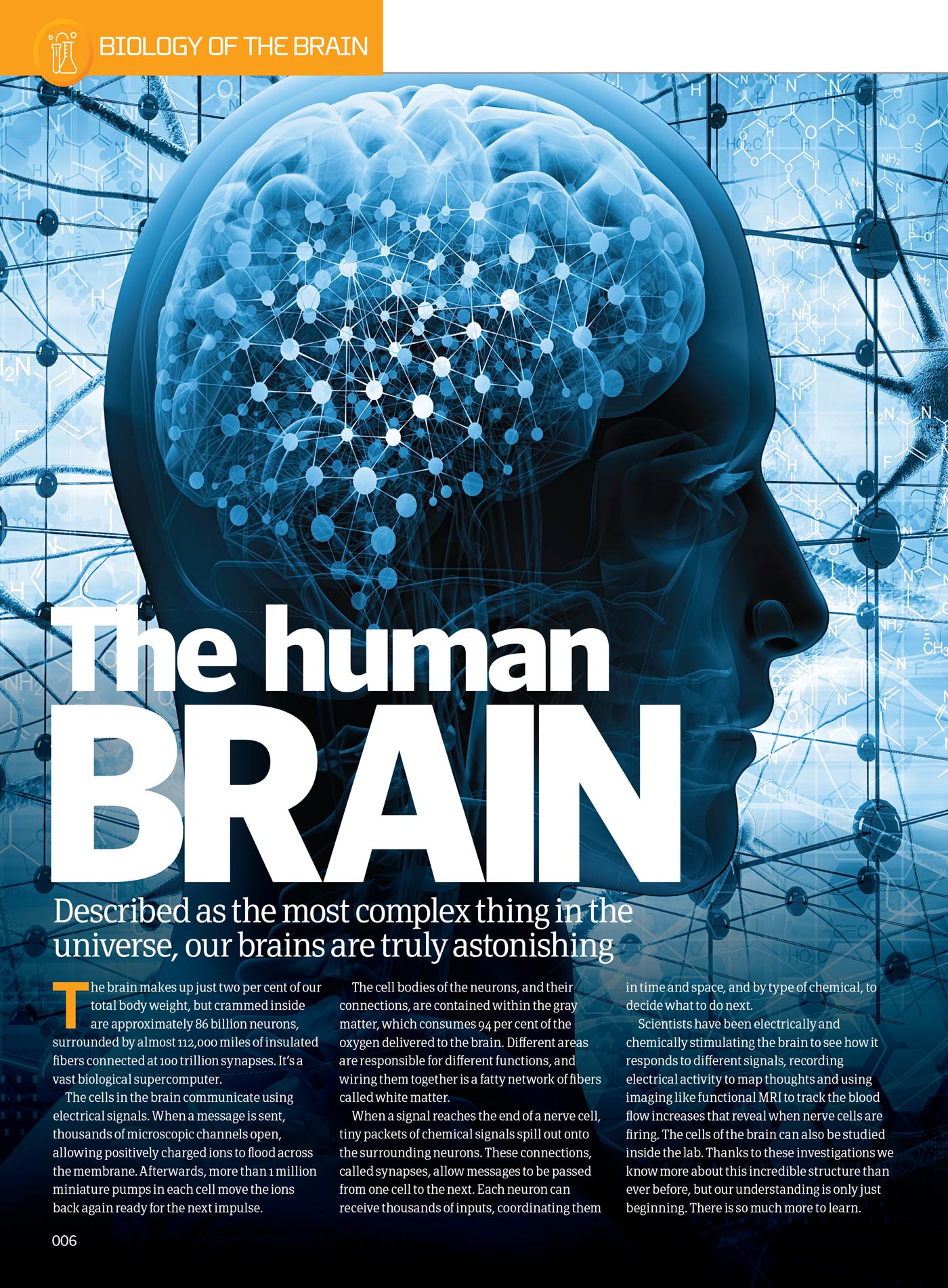 Inside Your Brain - The Most Complex Computer: Consciousness, Cognitive Biases, Psychopaths' Minds, Dreams, Behaviors, Brain Structure, Experiments, Sleep, Memories, The Father Of Neuroscience & More!