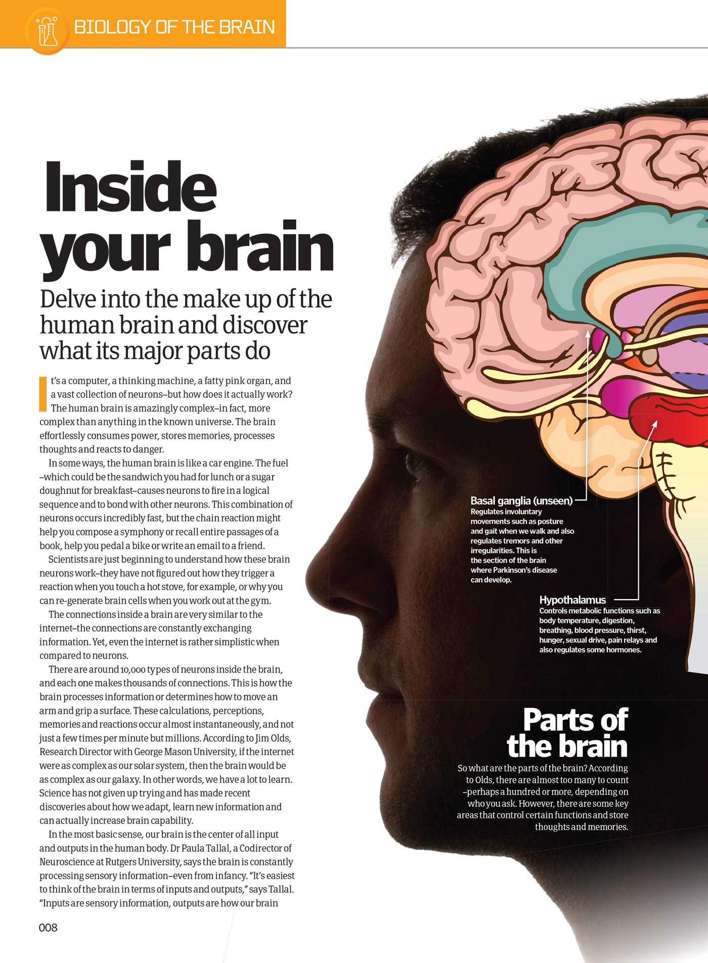 Inside Your Brain - The Most Complex Computer: Consciousness, Cognitive Biases, Psychopaths' Minds, Dreams, Behaviors, Brain Structure, Experiments, Sleep, Memories, The Father Of Neuroscience & More!