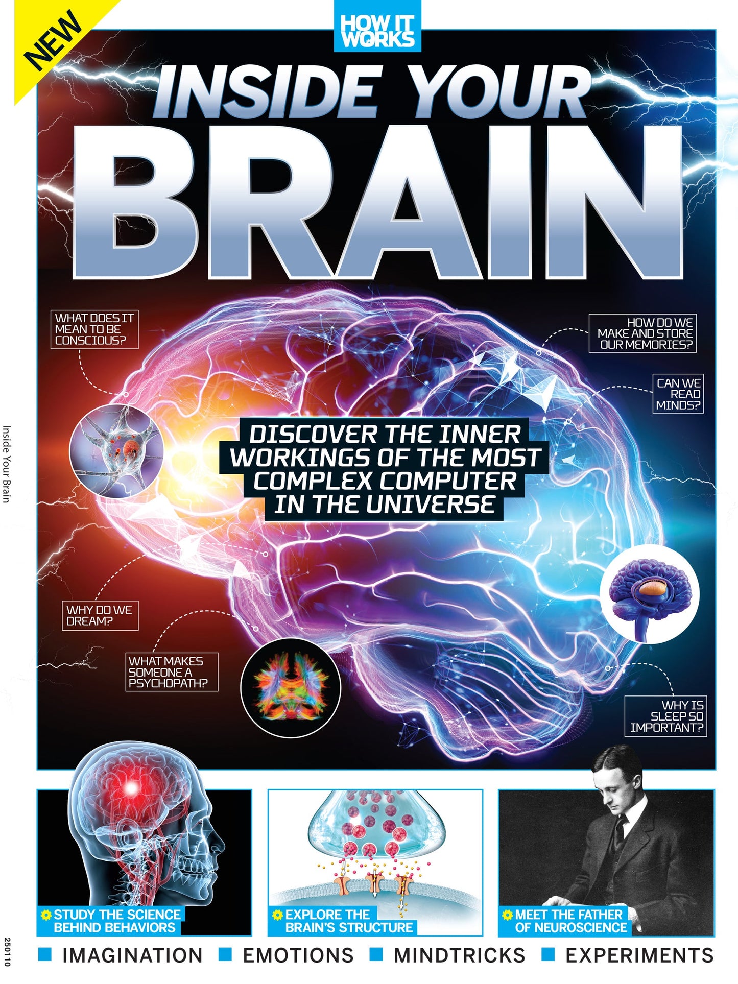 Inside Your Brain - The Most Complex Computer: Consciousness, Cognitive Biases, Psychopaths' Minds, Dreams, Behaviors, Brain Structure, Experiments, Sleep, Memories, The Father Of Neuroscience & More!