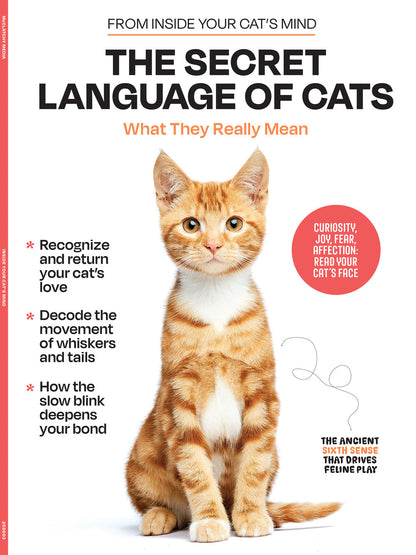 Inside Your Cat’s Mind - The Secret Language Of Cats: What They Really Mean, Decode Feline Behavior, Whisker & Tail Language, Slow Blink Secrets, Build A Deeper Bond With Your Beloved Cat & More!