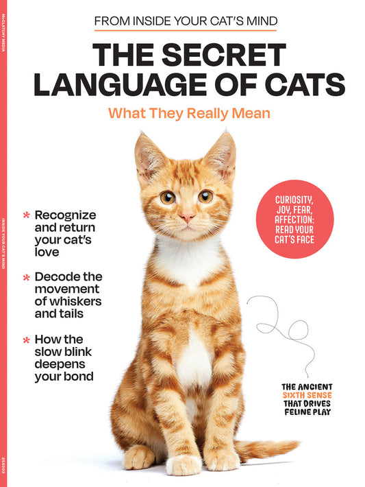 Inside Your Cat’s Mind - The Secret Language Of Cats: What They Really Mean, Decode Feline Behavior, Whisker & Tail Language, Slow Blink Secrets, Build A Deeper Bond With Your Beloved Cat & More!