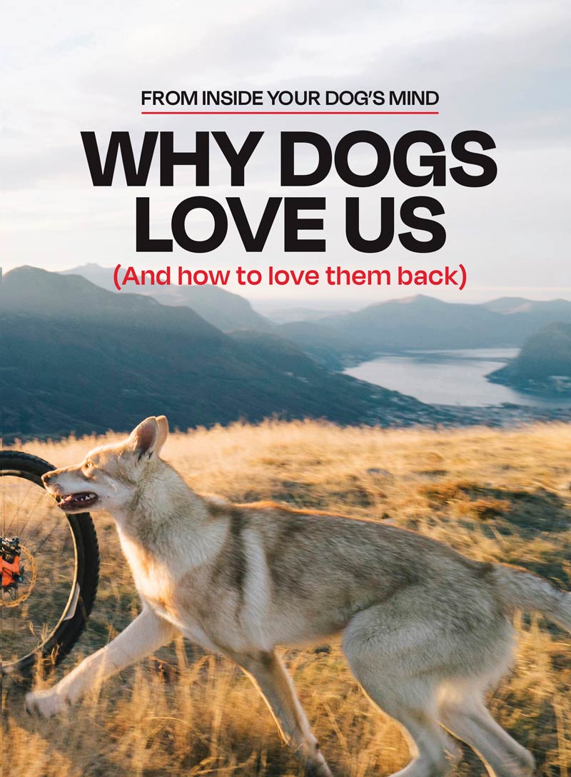 Inside Your Dog's Mind - Why Dogs Love Us & How To Love Them Back: Science-Based Insights To Deepen Your Relationship, Build Trust, Foster Empathy, Raise & Train A Confident, Well-Behaved Dog & More!