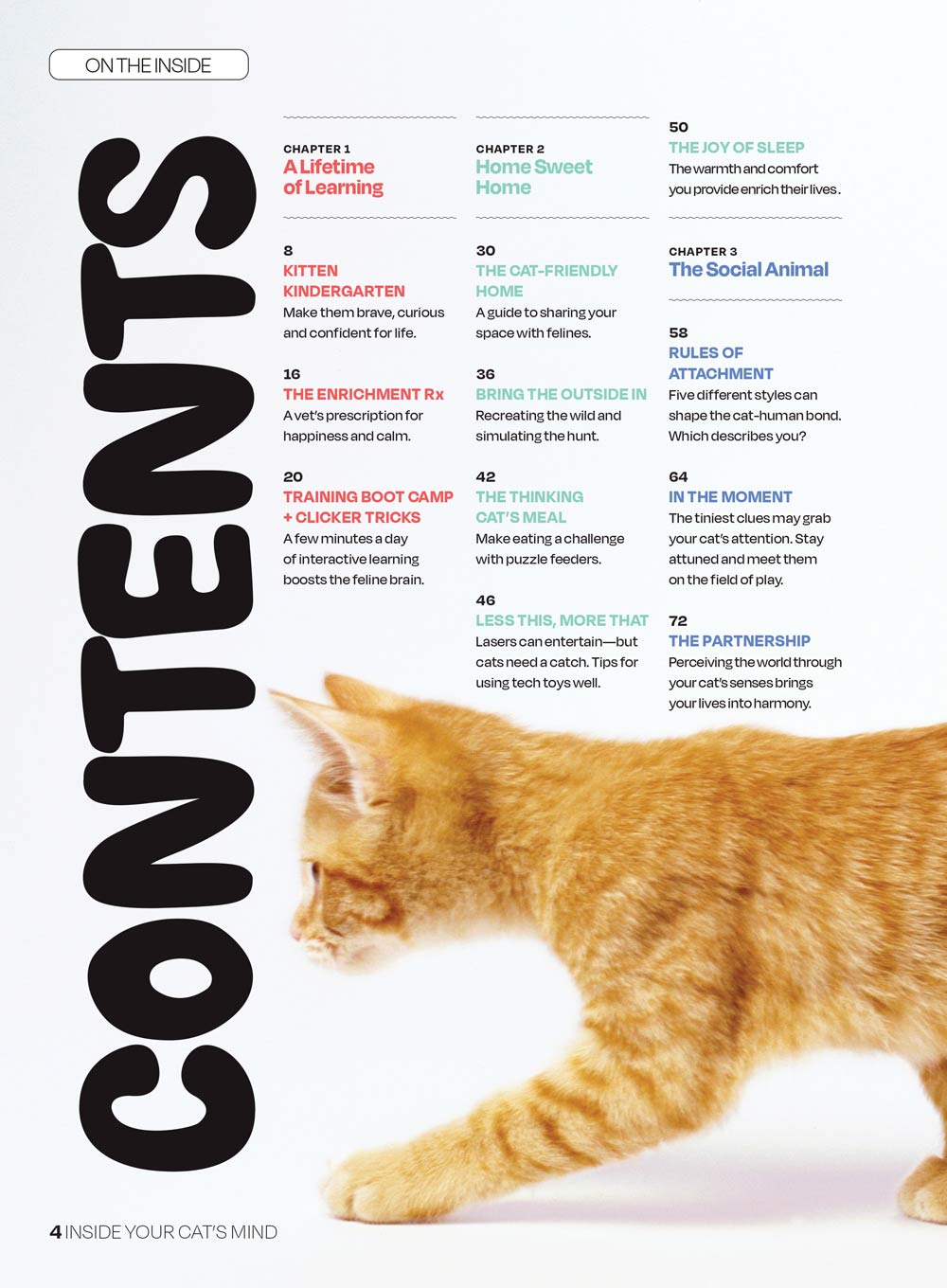 Inside Your Cat's Mind - Enriching Your Cat's Life: More Joy, Curiosity & Confidence, Fun Hunting Games, Safe Scents To Boost Moods, Make Mealtime More Stimulating With Puzzle Feeders & More!