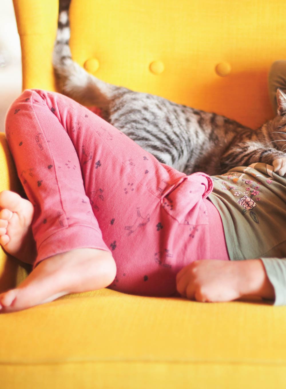 Inside Your Cat's Mind - Enriching Your Cat's Life: More Joy, Curiosity & Confidence, Fun Hunting Games, Safe Scents To Boost Moods, Make Mealtime More Stimulating With Puzzle Feeders & More!