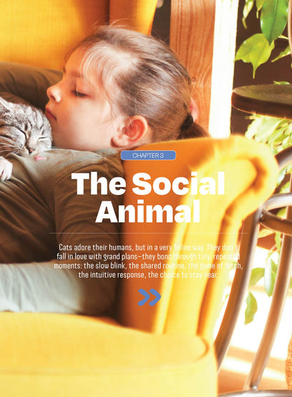 Inside Your Cat's Mind - Enriching Your Cat's Life: More Joy, Curiosity & Confidence, Fun Hunting Games, Safe Scents To Boost Moods, Make Mealtime More Stimulating With Puzzle Feeders & More!