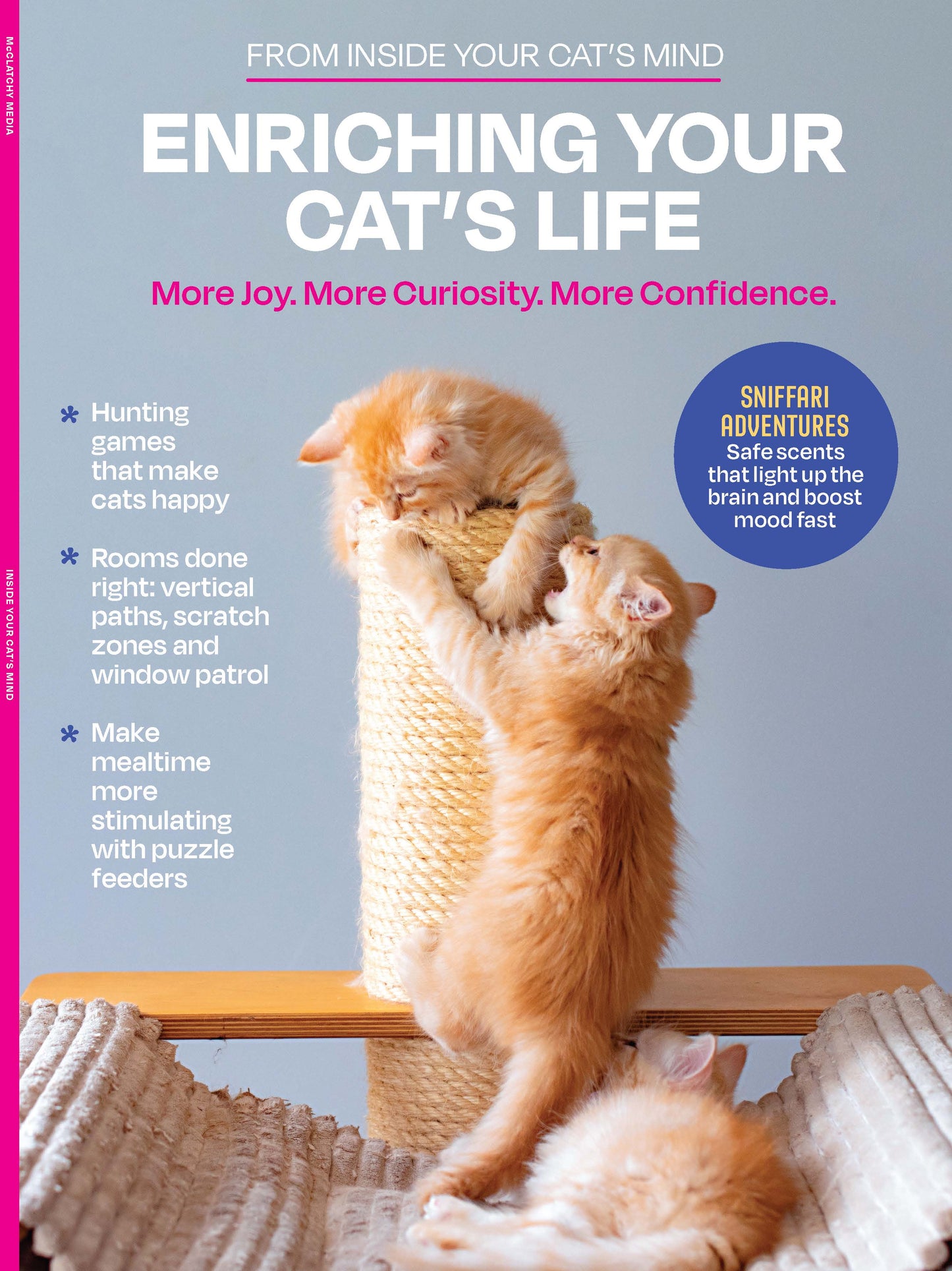 Inside Your Cat's Mind - Enriching Your Cat's Life: More Joy, Curiosity & Confidence, Fun Hunting Games, Safe Scents To Boost Moods, Make Mealtime More Stimulating With Puzzle Feeders & More!