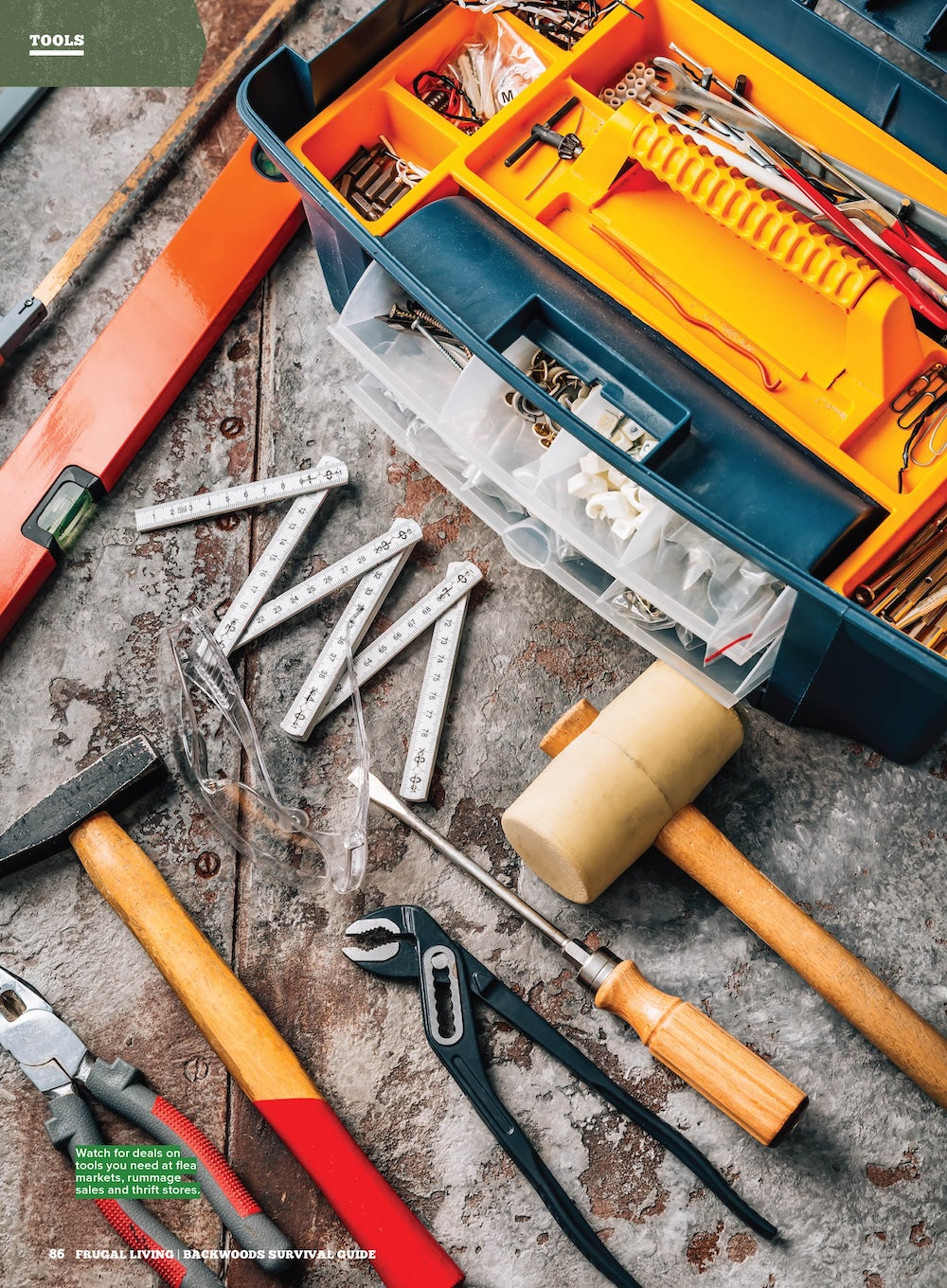Backwoods Survival Guide - Frugal Living: 350+ Thrifty Tips, Ways To Help You Thrive, Budgeting, Decrease Debt, Reduce Stress, Make Informed Choices, Meal Plan, Credit Card Savings & More!