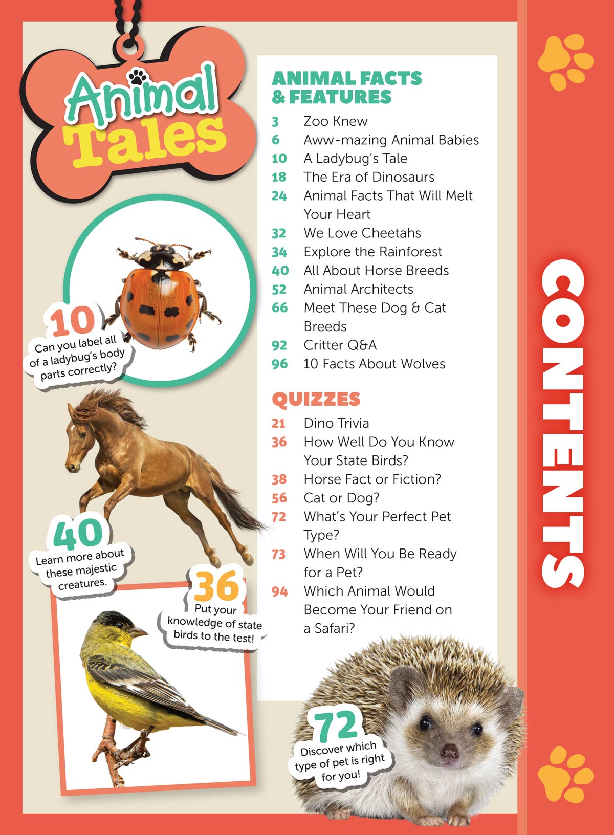 Animal Tales - 100 Must Know Animal Facts: All About Dinosaurs, World's Cutest Animal Babies, Animal Expert Q&A, Crafts, Recipes, Zoo Trivia, Memory Games, Posters, Drawing Lessons, Quiz & More!