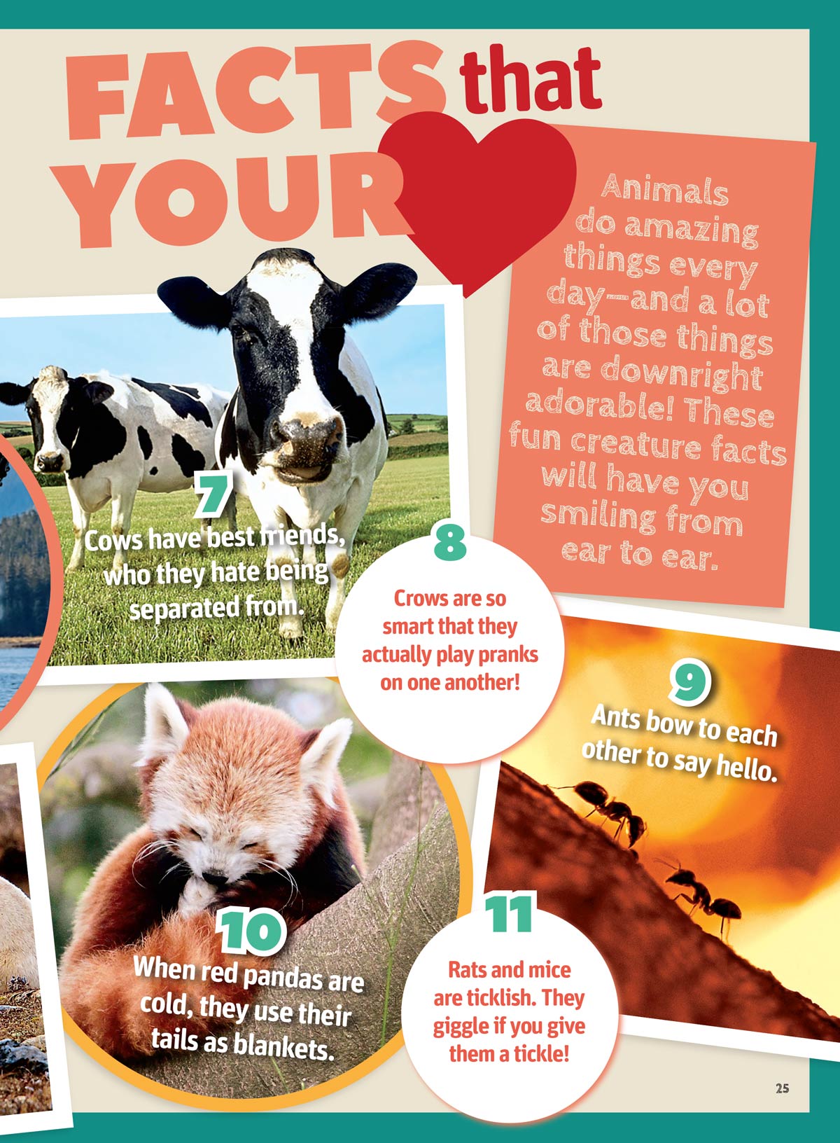 Animal Tales - 100 Must Know Animal Facts: All About Dinosaurs, World's Cutest Animal Babies, Animal Expert Q&A, Crafts, Recipes, Zoo Trivia, Memory Games, Posters, Drawing Lessons, Quiz & More!