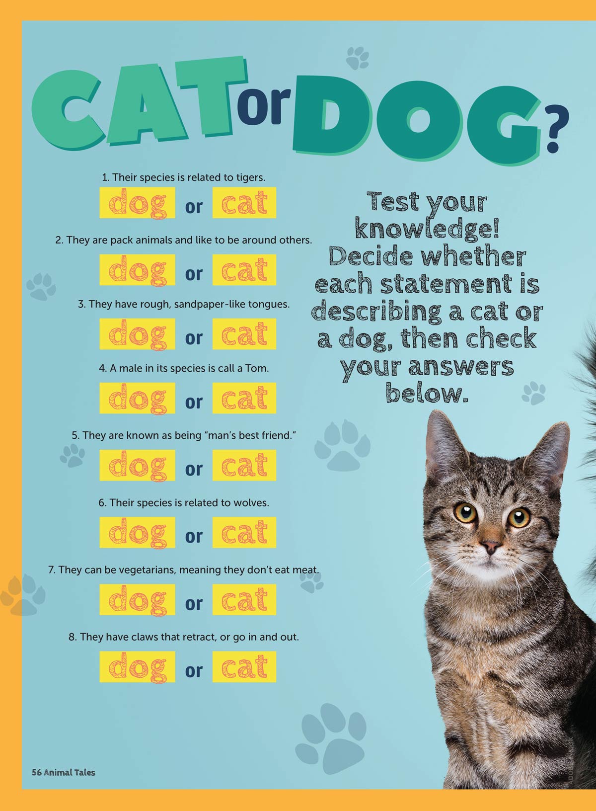 Animal Tales - 100 Must Know Animal Facts: All About Dinosaurs, World's Cutest Animal Babies, Animal Expert Q&A, Crafts, Recipes, Zoo Trivia, Memory Games, Posters, Drawing Lessons, Quiz & More!