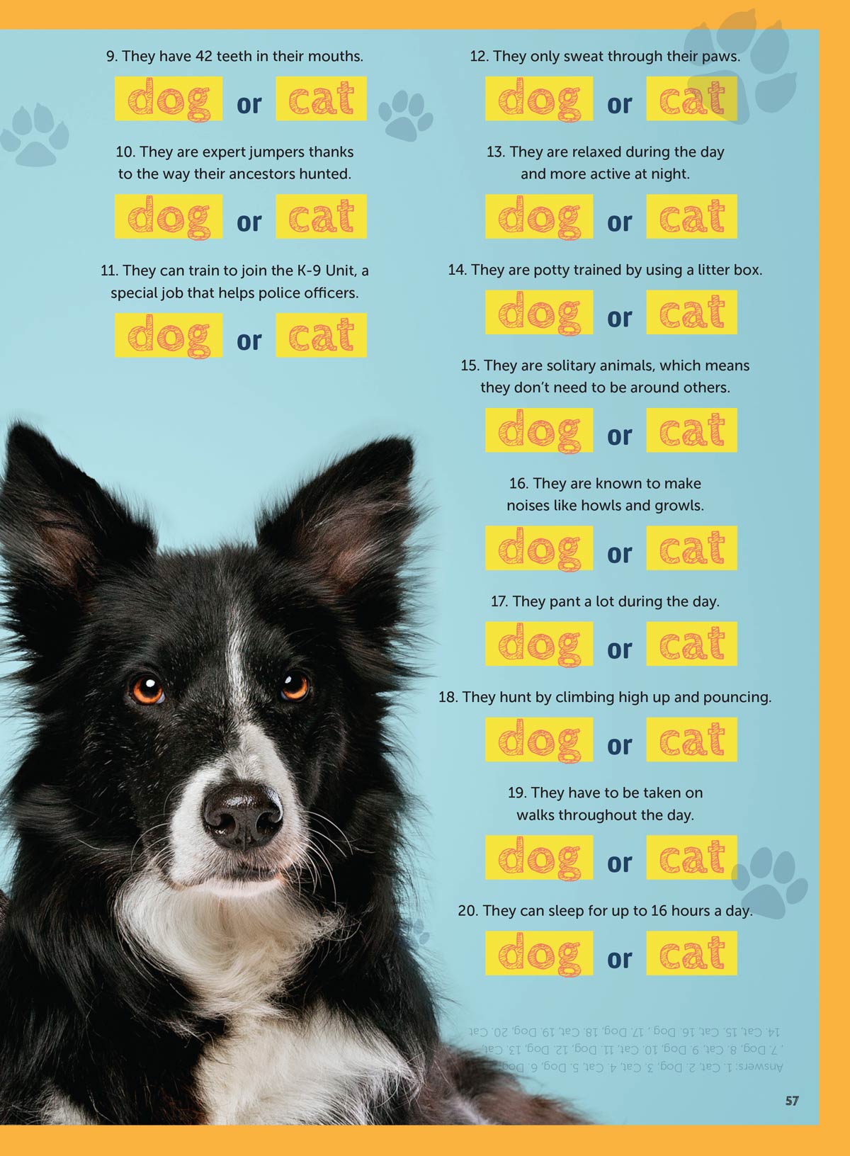 Animal Tales - 100 Must Know Animal Facts: All About Dinosaurs, World's Cutest Animal Babies, Animal Expert Q&A, Crafts, Recipes, Zoo Trivia, Memory Games, Posters, Drawing Lessons, Quiz & More!