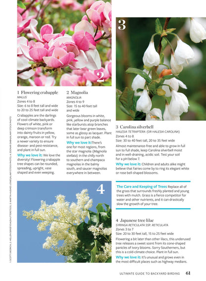 Birds & Blooms - Ultimate Guide To Backyard Birding: Attract Hummingbirds & More With Top Flowers, Feeders & Bird-Friendly Garden Tips & Enjoy Beautiful Birds Right In Your Garden!
