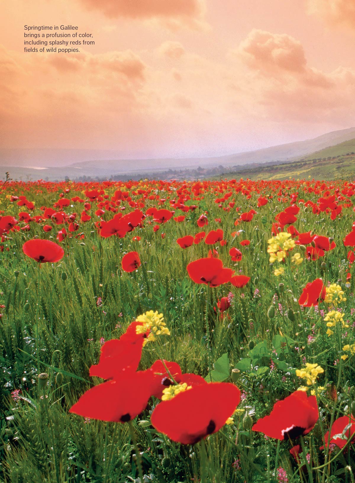 Parade Special Edition - Jesus: The Prince Of Peace & How He Changed The World, Discover The True Meaning Of Christmas, Explore Christianity, Faith & Spirituality, Inspiring Holiday Stories & More!