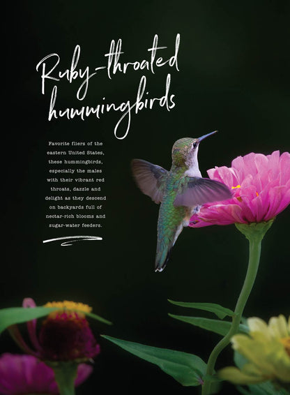Birds & Blooms - World Of Hummingbirds: Must-See U.S. Species, 50+ Plants They Love, Smart Feeding Tips & More!