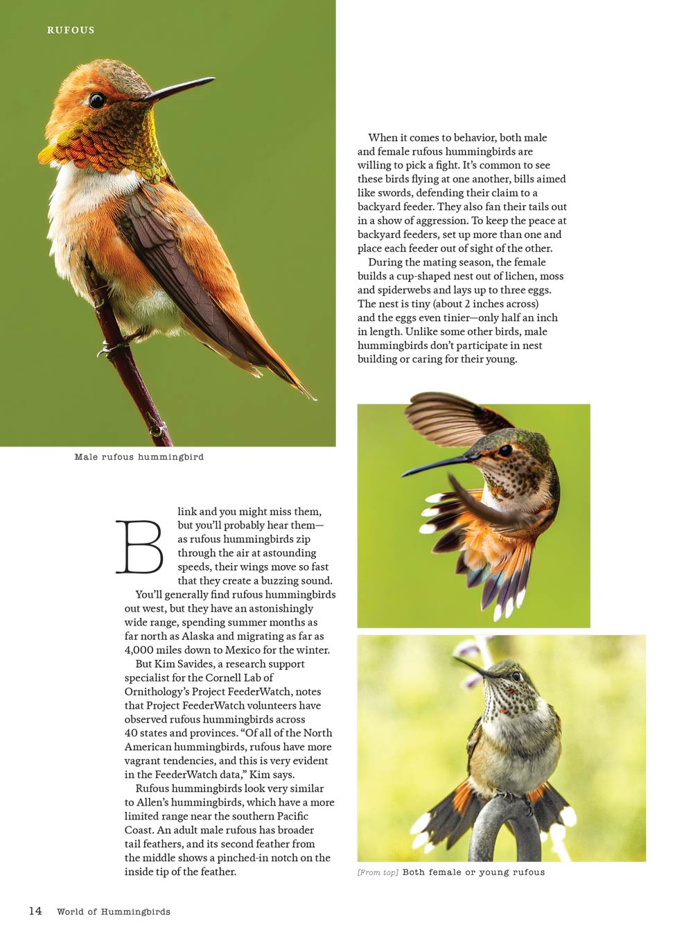 Birds & Blooms - World Of Hummingbirds: Must-See U.S. Species, 50+ Plants They Love, Smart Feeding Tips & More!