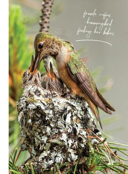 Birds & Blooms - World Of Hummingbirds: Must-See U.S. Species, 50+ Plants They Love, Smart Feeding Tips & More!