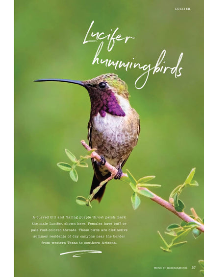 Birds & Blooms - World Of Hummingbirds: Must-See U.S. Species, 50+ Plants They Love, Smart Feeding Tips & More!
