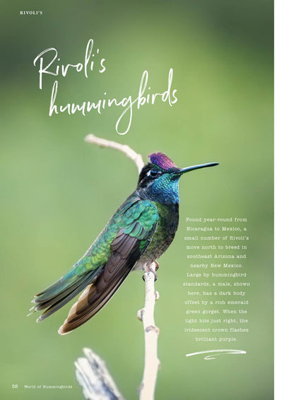 Birds & Blooms - World Of Hummingbirds: Must-See U.S. Species, 50+ Plants They Love, Smart Feeding Tips & More!