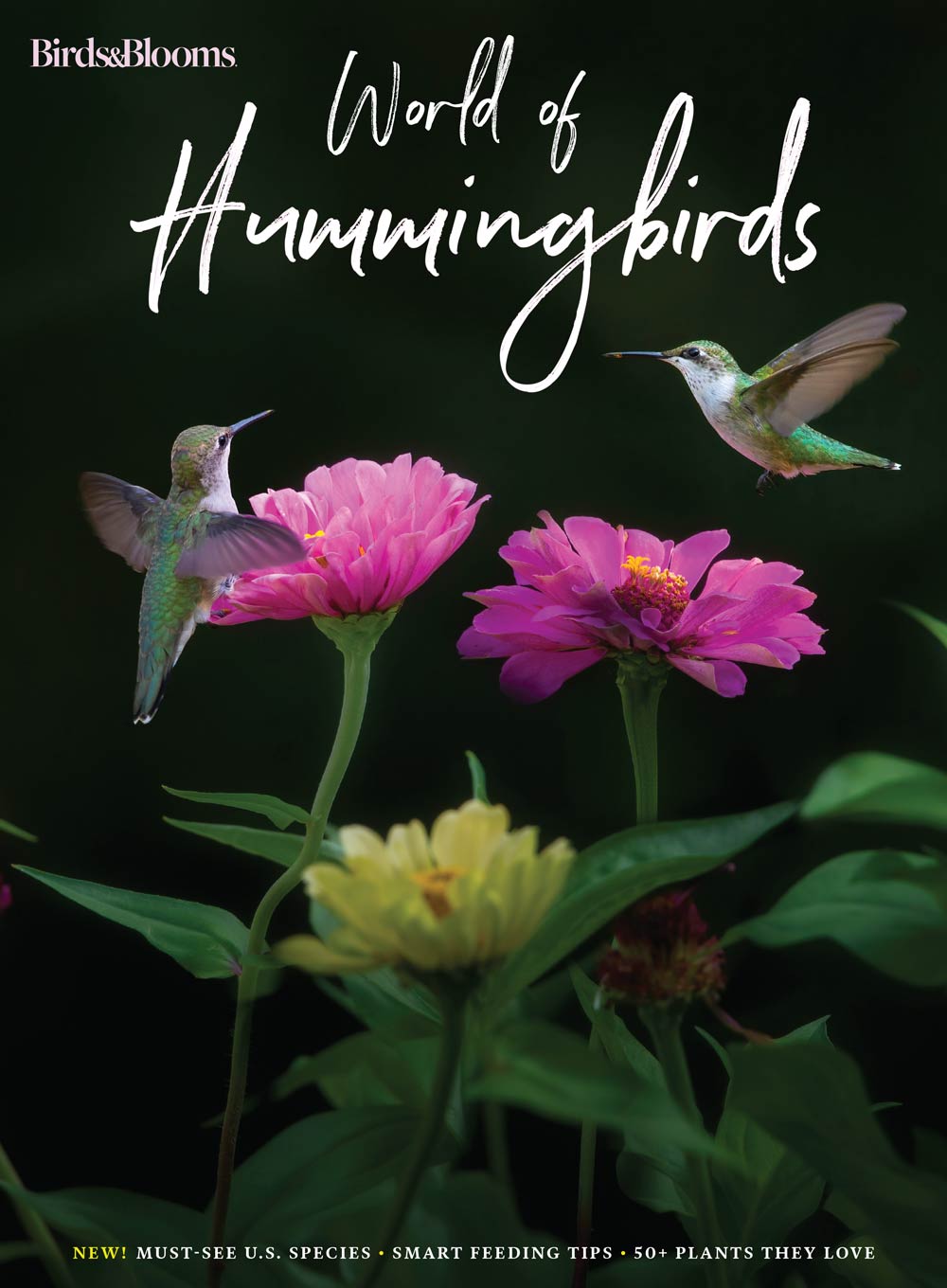 Birds & Blooms - World Of Hummingbirds: Must-See U.S. Species, 50+ Plants They Love, Smart Feeding Tips & More!
