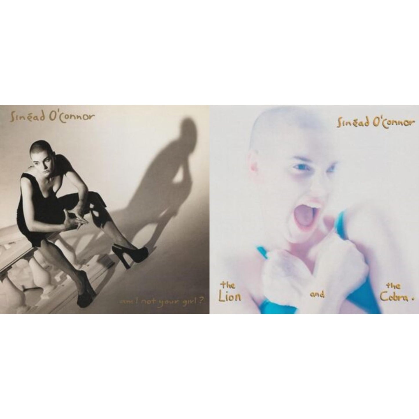 Sinead O'connor - Lion & The Cobra & Am I Not Your Girl - LP Vinyl Bundle