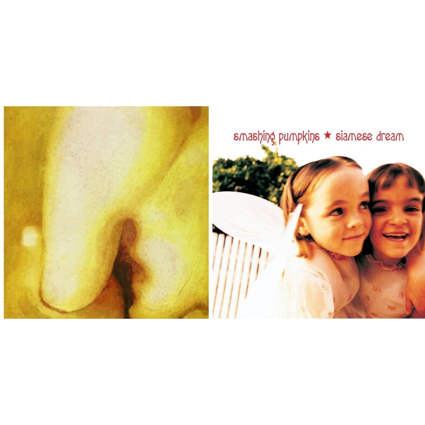 Smashing Pumpkins - Pisces Iscariot & Siamese Dream (180G/2LP)