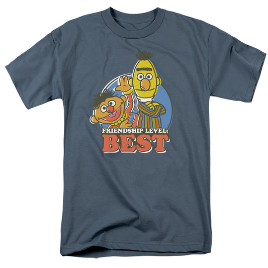 Sesame Street Bert & Ernie Friendship Level: Best Mens T Shirt Slate Officially Licensed