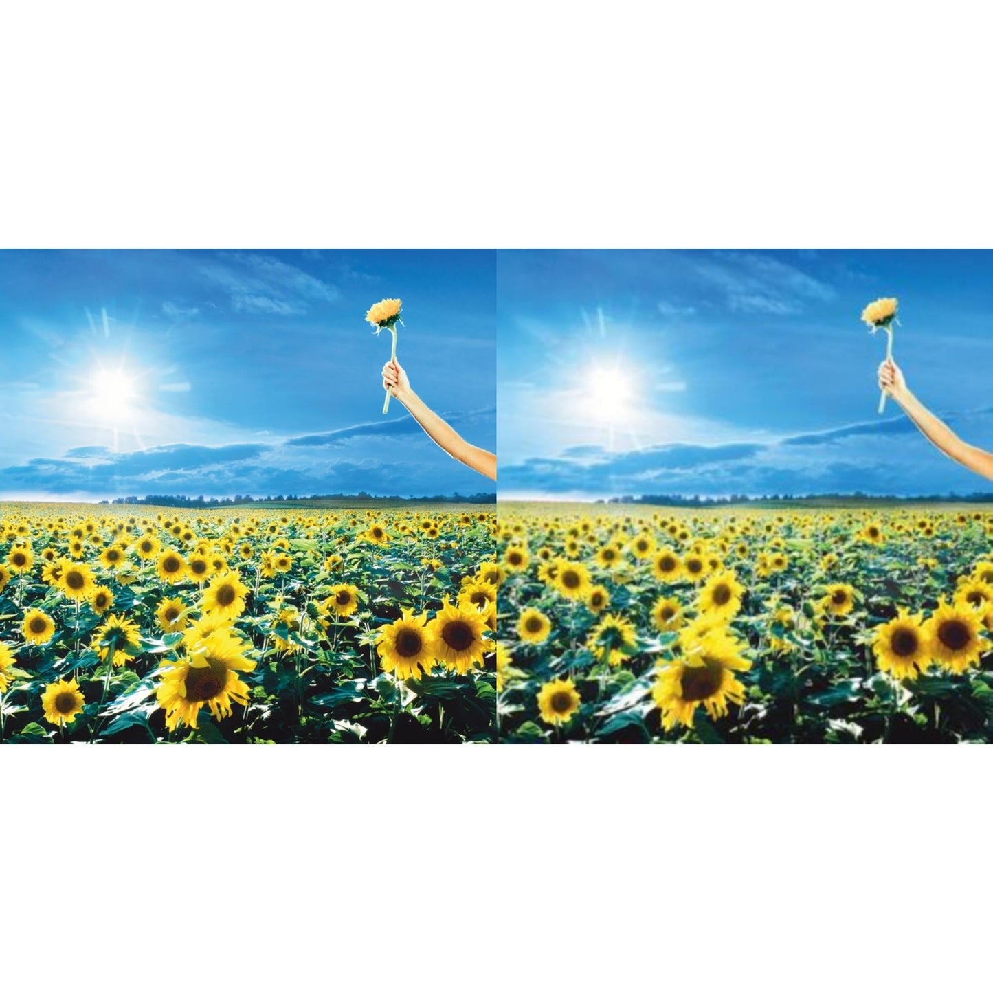 Stone Temple Pilots - Thank You (Opaque Sky Blue Vinyl/2LP) (Rocktober) & Thank You (2LP)