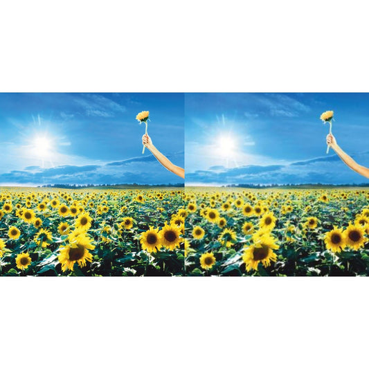 Stone Temple Pilots - Thank You (Opaque Sky Blue Vinyl/2LP) (Rocktober) & Thank You (2LP)