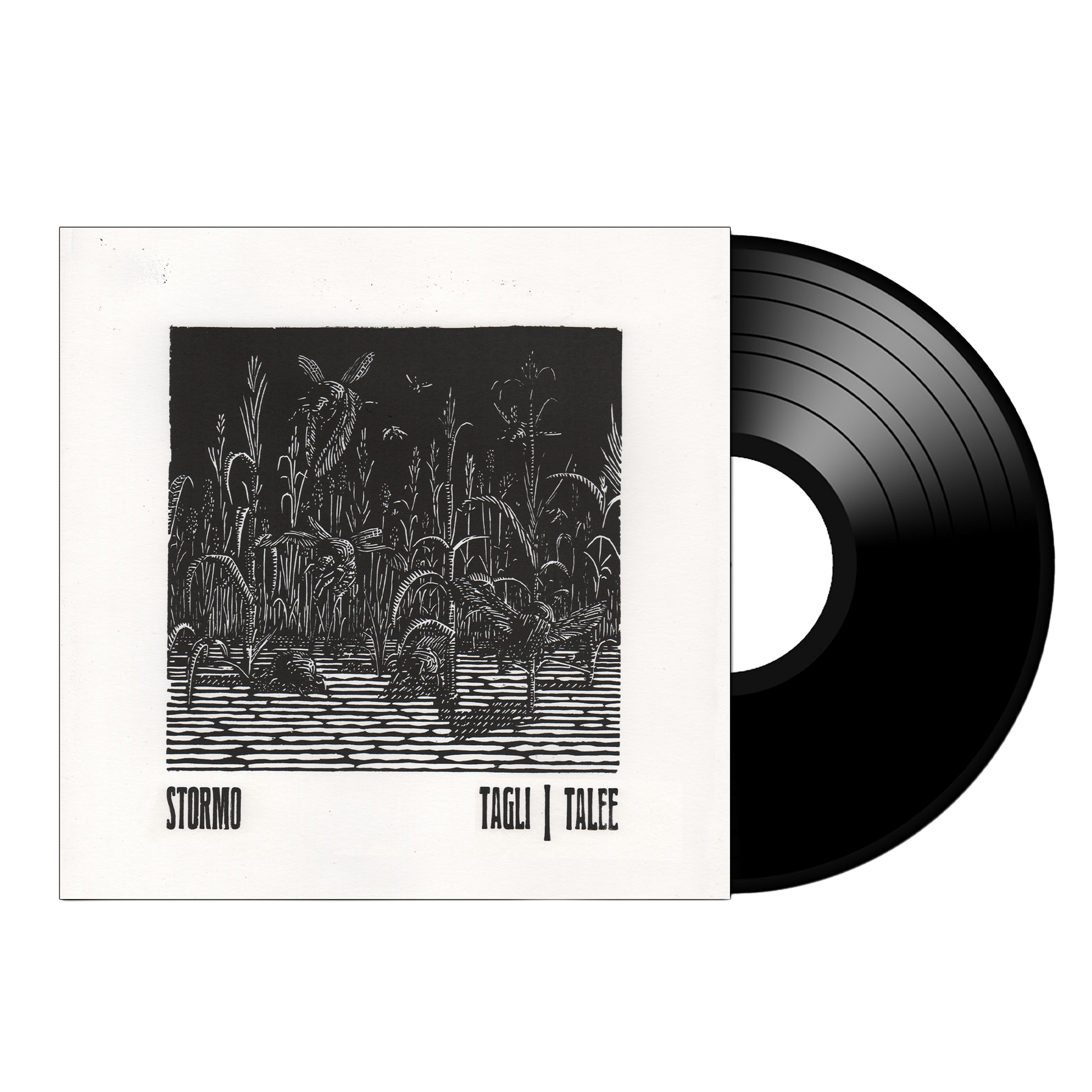 STORM(O) Tagli/Talee on Black Vinyl Record