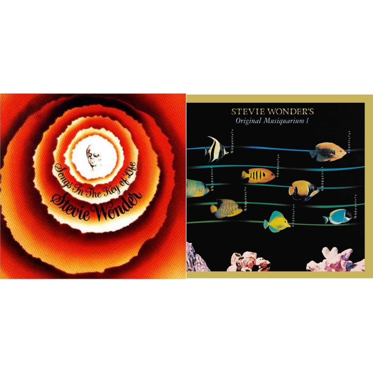 Stevie Wonder - Songs In The Key Of Life & Original Musiquarium I (2LP)