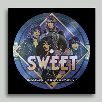 LEVEL HEADED TOUR REHEARSALS 1977 (PICTURE DISC) Vinyl Record