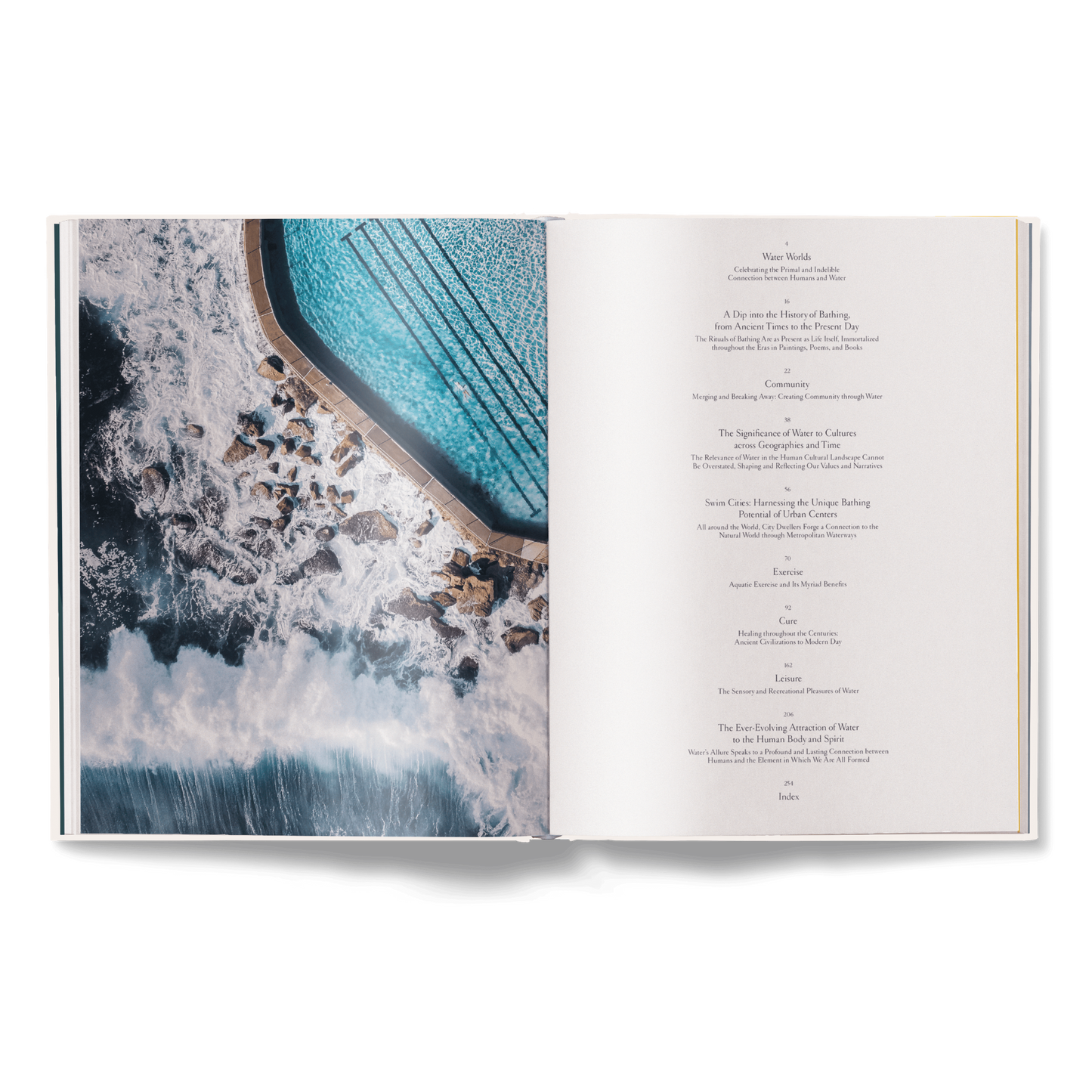 The Nature of Swimming (Updated Edition) Book