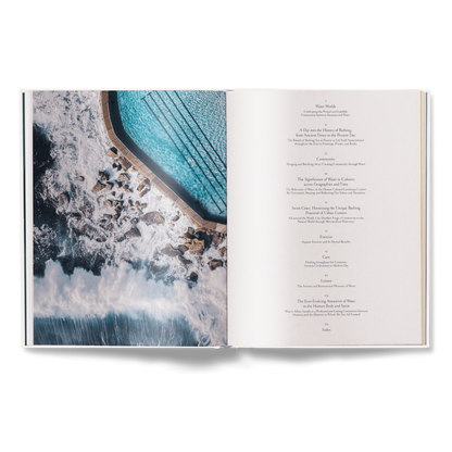 The Nature of Swimming (Updated Edition) Book