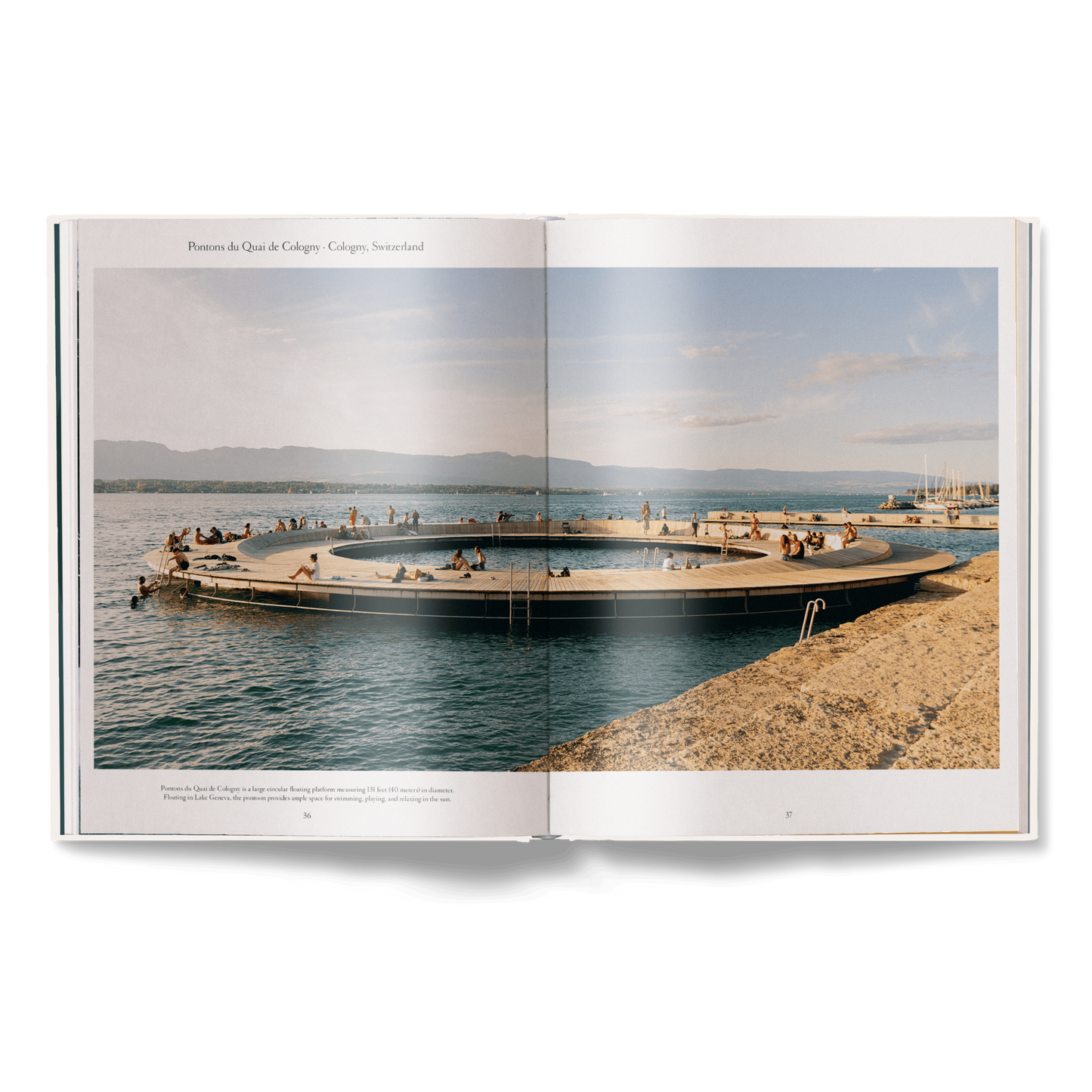 The Nature of Swimming (Updated Edition) Book